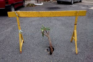 IMG-20140719-WA0001-001