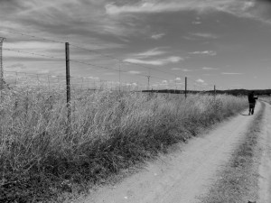 La decisión (relato)