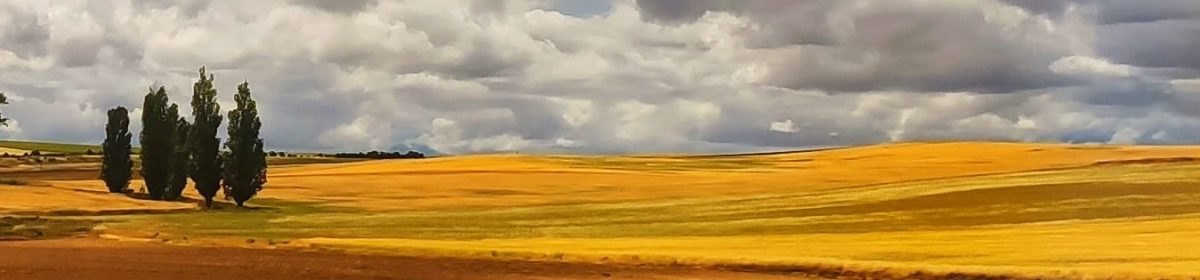 Adela Villoria. Escritora